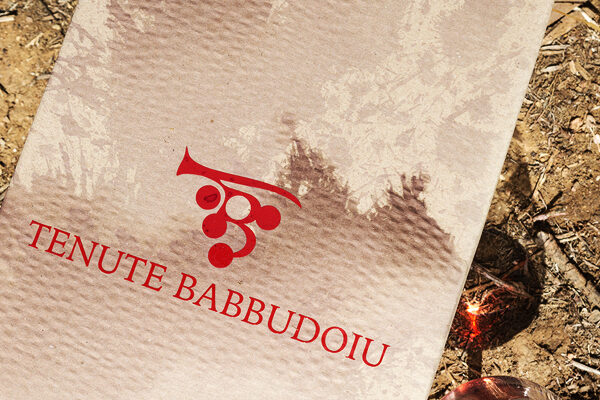 babbudoiu_001